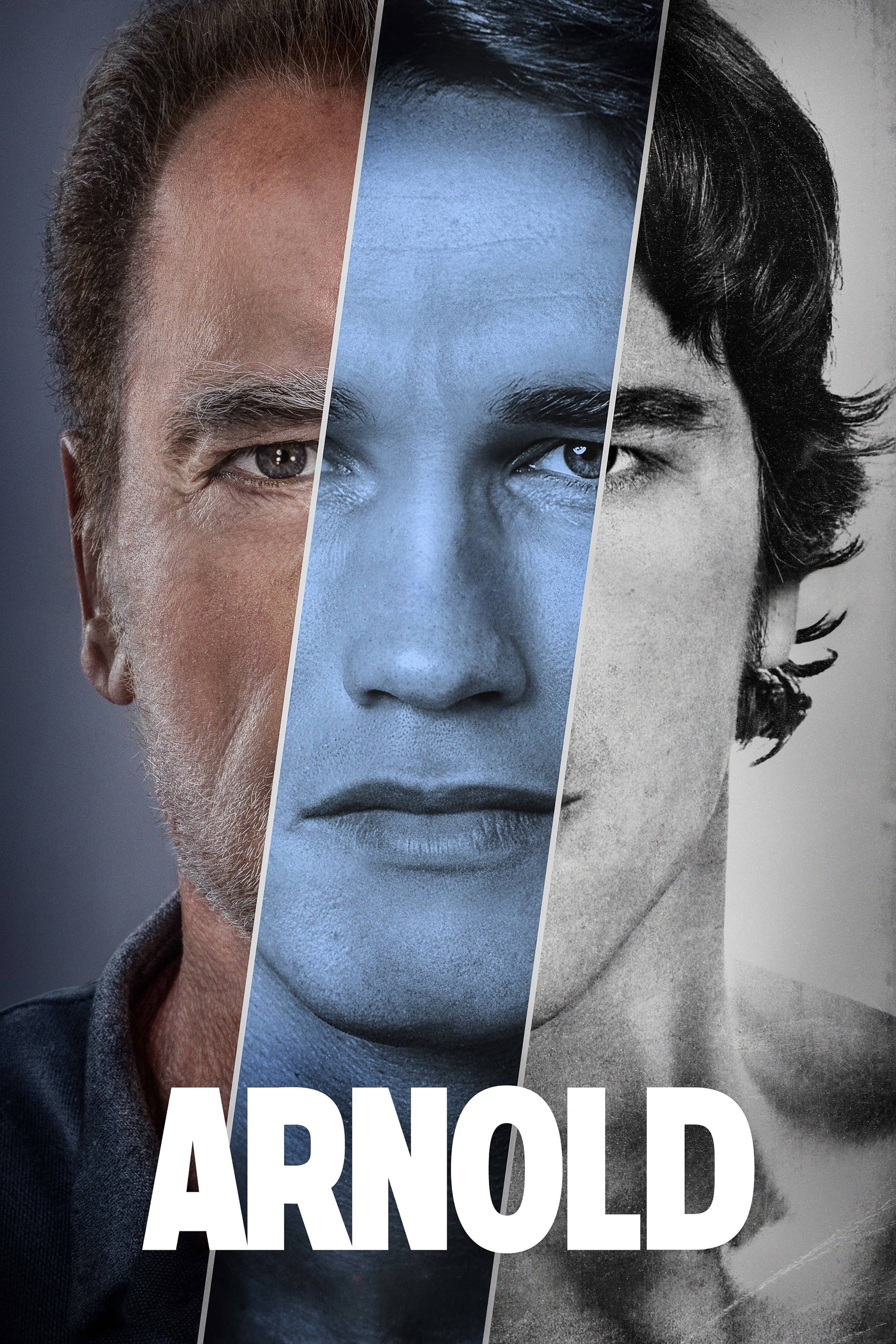 Arnold Hindi Dubbed Movie Poster (2023)