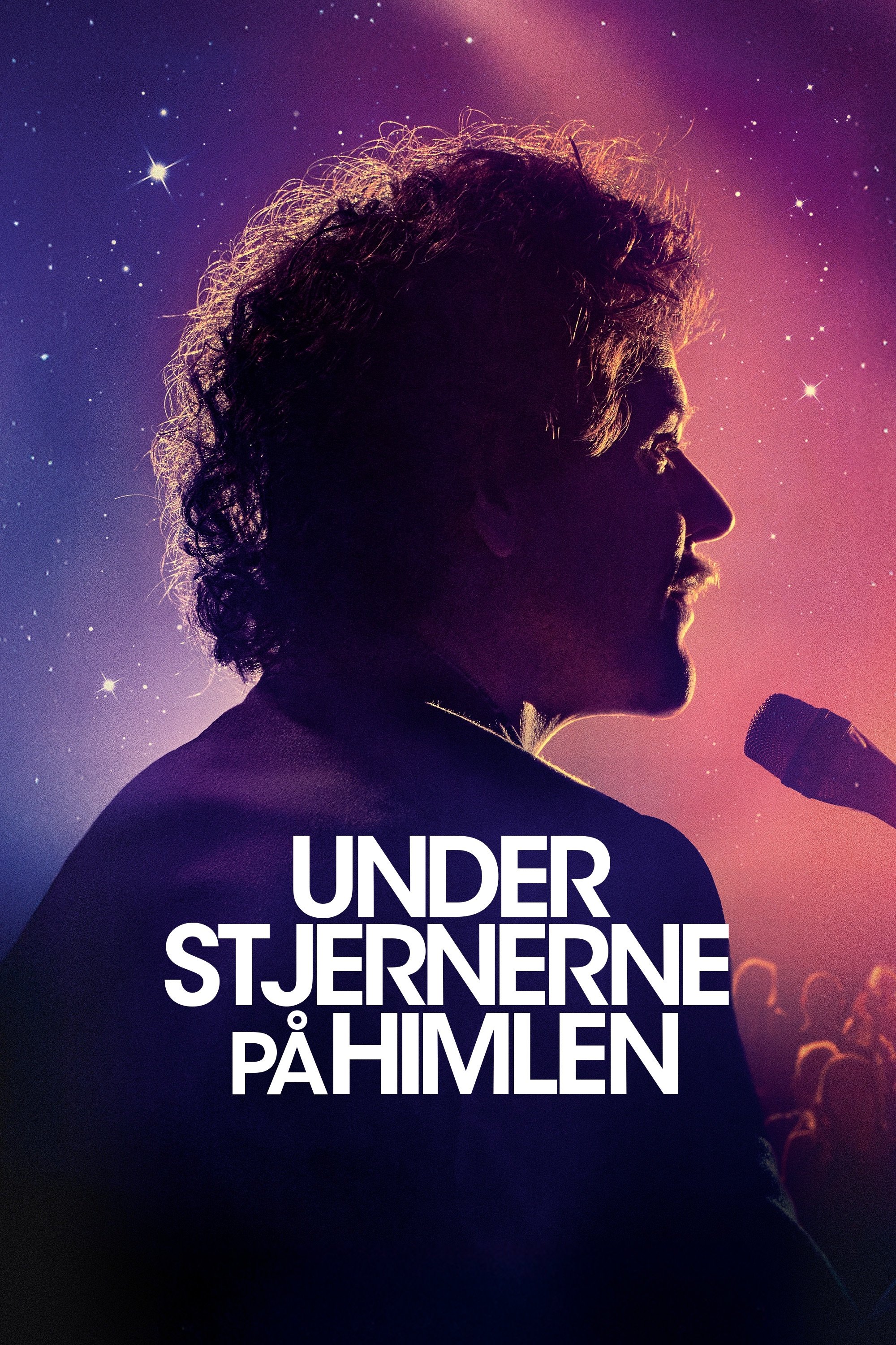 Under the Stars in the Sky Hindi Dubbed Movie Poster (2025)